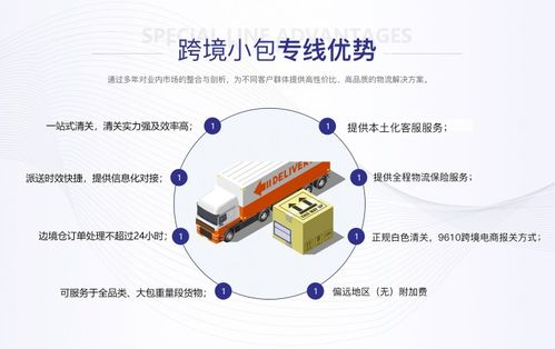 拉美DDP信息咨詢服務費用解析